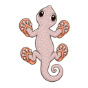 Gekkon